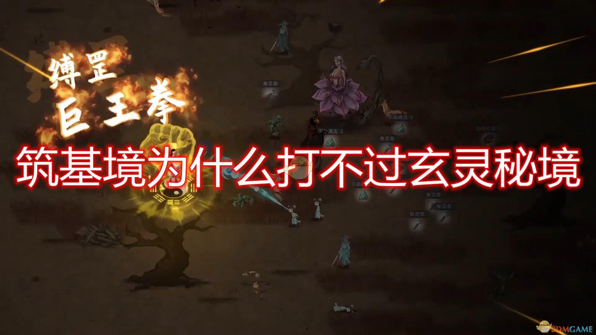 寂静森林找星星