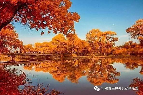 优雅的咖啡店
